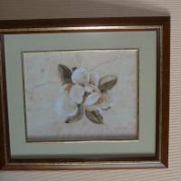 Candamar Орхидея