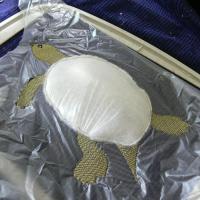 Машинная вышивка. Черепашка