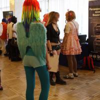 Хиноде -2012. Косплей (cosplay)