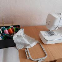 Brother Innov-is 950