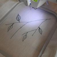 Вид сверху.