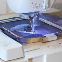 Mashinnaia vishivka. Organza