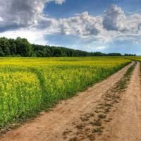 IMG_6442_3_4_tonemapped