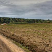 IMG_0496_7_8_tonemapped