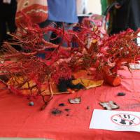 Patchwork_Europe_VONTZOS_Dimitri (Греция)(24)