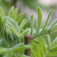 Изображение 080