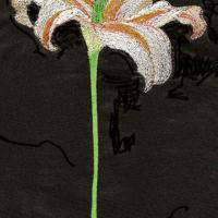 одинокая лилия