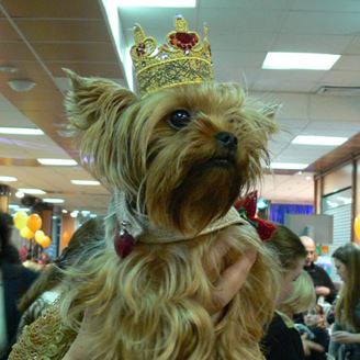 Изображение Файл вышивки "Корона"