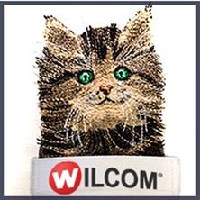 Изображение Посади кота в карман. Мини-курс Wilcom ES. Он-лайн