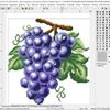 Изображение Embird: Вышивка крестом (Cross Stitch)
