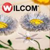Изображение Wilcom ES: Мини-курс "Дизайны с бахромой"