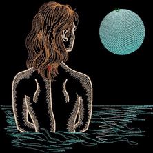 Изображение "Ночной заплыв" дизайн машинной вышивки 