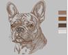 Изображение "Французский бульдог" дизайн машинной вышивки 