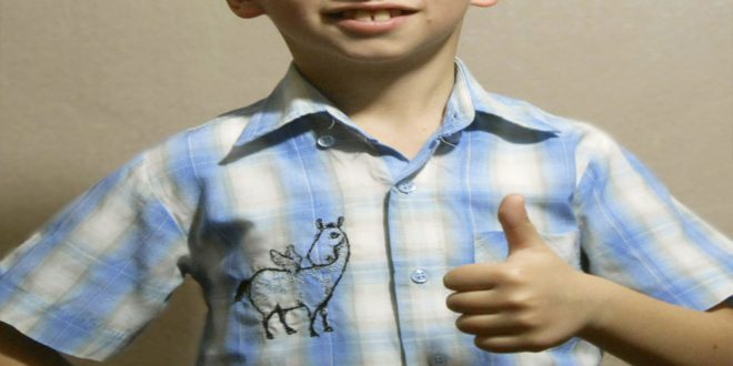 Дизайн машинной вышивки "Лошадка"