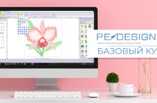 Бзовый курс PE-Deign