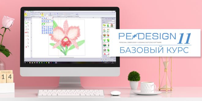 Бзовый курс PE-Deign