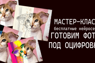 Подготовка фото для оцифровки вышивки с помощью нейросети — пример упрощения многоцветного изображения