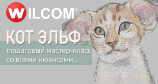 мастер-класс Кот-Эльф вышивка