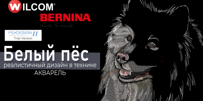 Реалистичные дизайны машинной вышивки в Wilcom ES: белый пёс в технике акварель